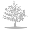 My Living Touch logo
